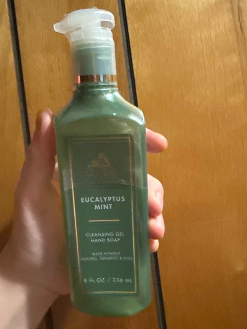Bath and body works Eucalyptus Mint Cleansing Gel Hand Soap - Green